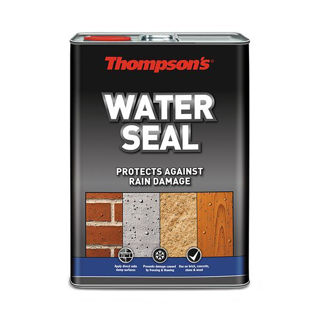 Picture of Thompsons Waterseal 5Lt